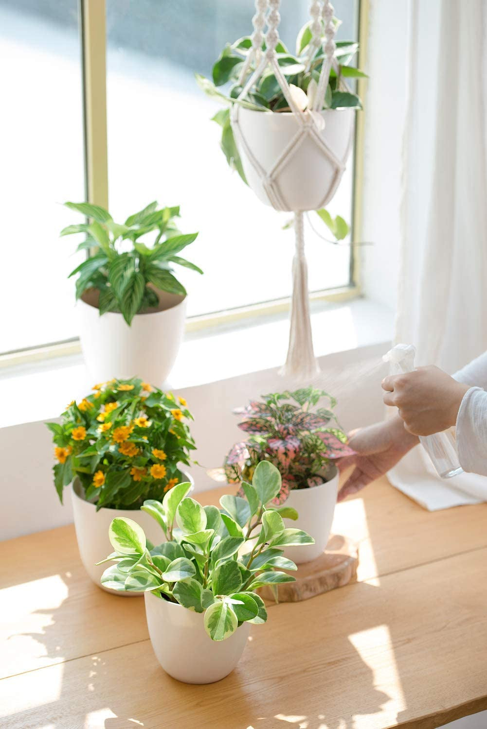 3-Pack Macrame Plant Hangers with Pots (Ivory)