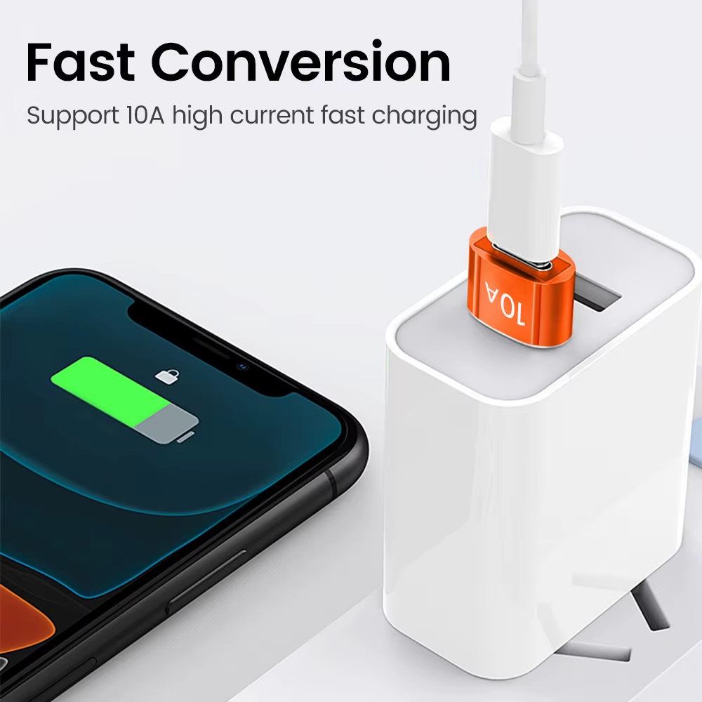 10A USB Type-C to USB Adapter